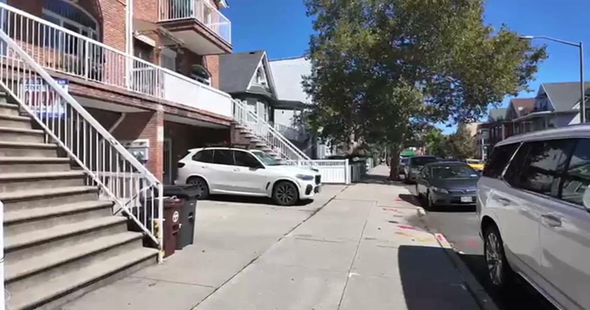 Residents object to New York City's tree planting plan over cultural impact | National and World News
