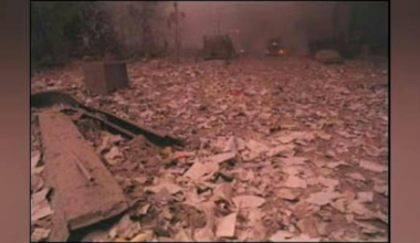 Bill Pushedto to Repay New York for Pensions Paid after 9/11 Attacks