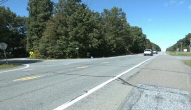 Coroner identifies 28-year-old New York man who died in a hit-and-run in Carbon County | Carbon County Area