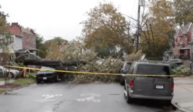 Nor’easter topples trees, floods streets |