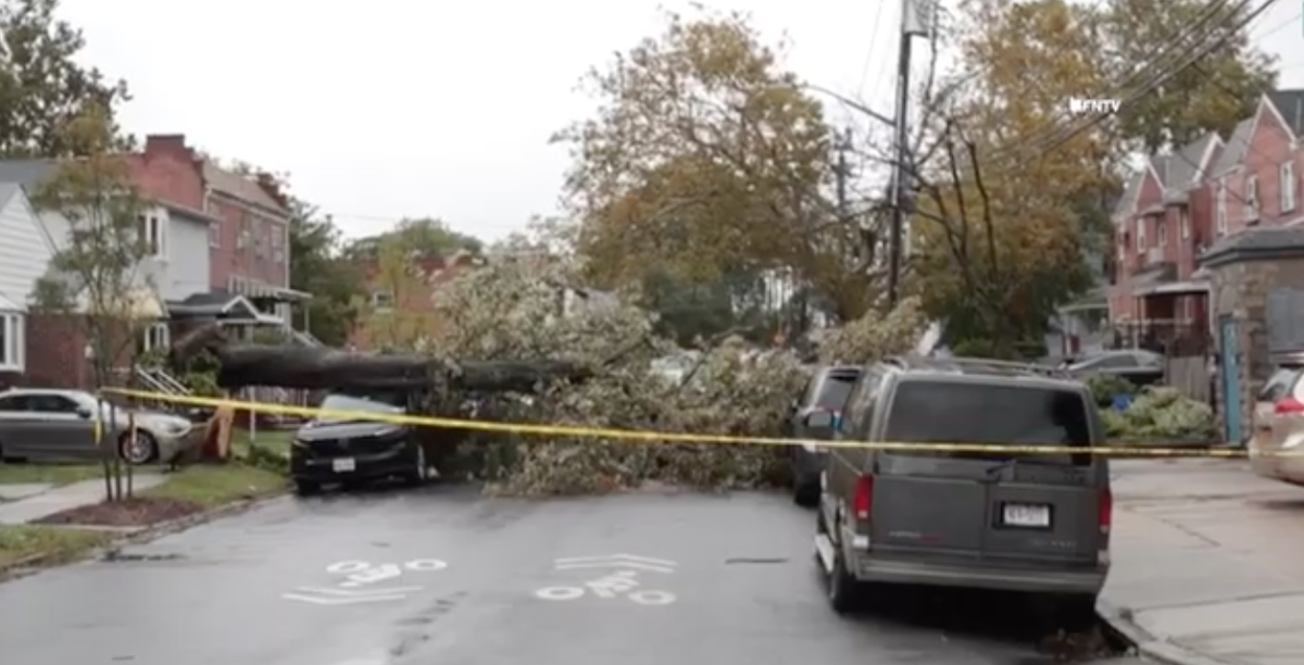 Nor’easter topples trees, floods streets |