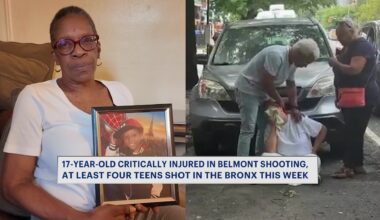 News 12 | Bronx | Teen Gun Violence In The Bronx Spikes As 4 Are Shot In One Week