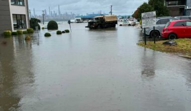 Luxury Cars Pushed Into Edgewater Floodwaters Probed In Insurance Fraud Scheme: Report