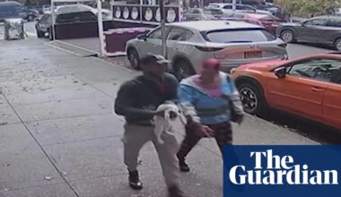 A Brooklyn bodega cat was stolen – and a community has rallied to try to find him | New York