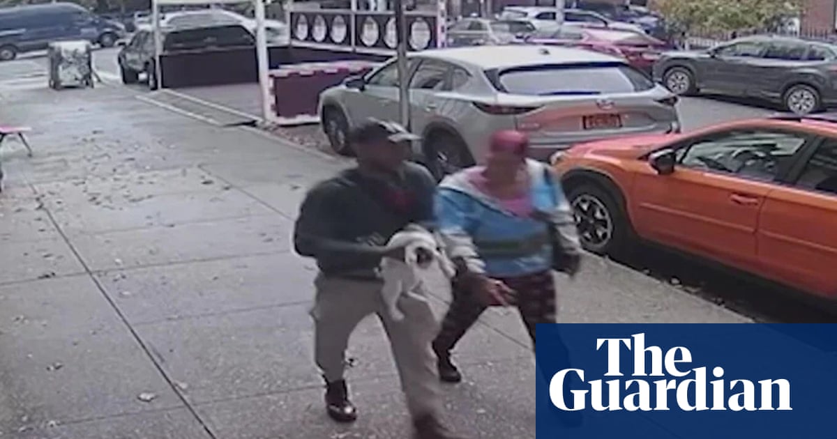 A Brooklyn bodega cat was stolen – and a community has rallied to try to find him | New York