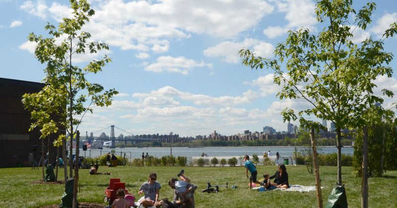 Opponents Kill Marina Plan at Greenpoint’s Transmitter Park