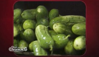Inside the Bronx pickle company supplying New York's iconic delis