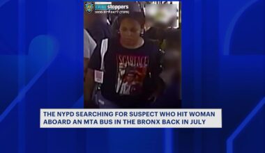 News 12 | Bronx | Suspect On The Run After Punching 68 Year Old Woman In The Face On Mta Bus