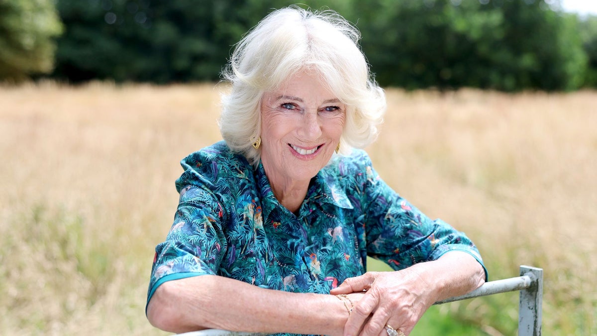Queen Camilla puts differences aside with Prince Harry amid Sussexes' UK return: Report