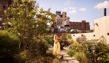 Liev Schreiber Feathers His Nest in New York City—Rooftop Chicken Coop and All