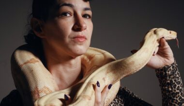 Even snakes have to audition for the opera at the Met – NBC New York