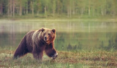 New York early big and small game hunting seasons begin