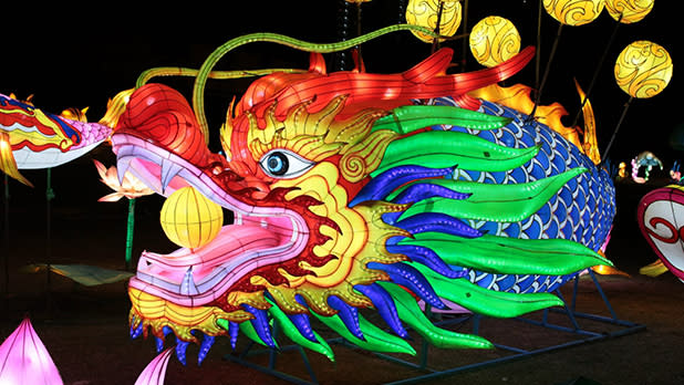 Colorful illuminated dragon lantern with red, pink, green, and blue scales, golden horns, and a fierce expression glowing against a dark night at Autumn Glow Festival in New Rochelle.