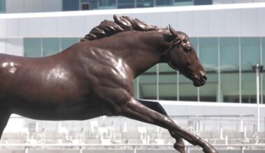 Belmont Park