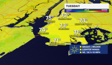 News 12 | Bronx | Your Daily Brooklyn Weather Forecast