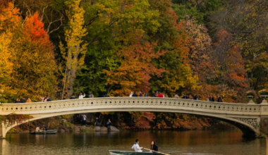 26 fabulous things to do in NYC this fall — street fairs & festivals, the first-ever Pizza Week, apple picking, & more