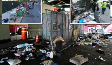 Homeless woman tries to torch $250K Mercedes as West Side encampment turns ‘dangerous’: business owner
