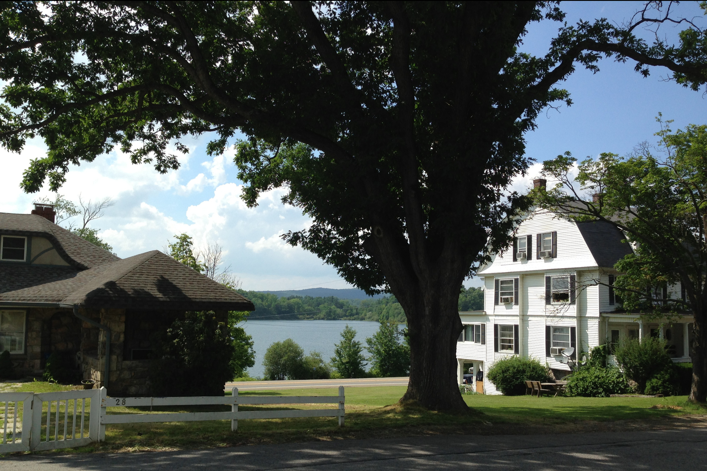 Houses and lawns beneath a large tree, with a lake visible behind, in Carmel.