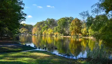 Clove Lake NYC