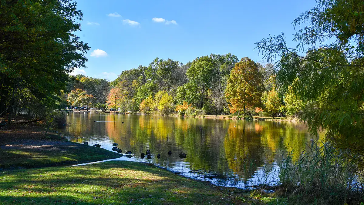 Clove Lake NYC