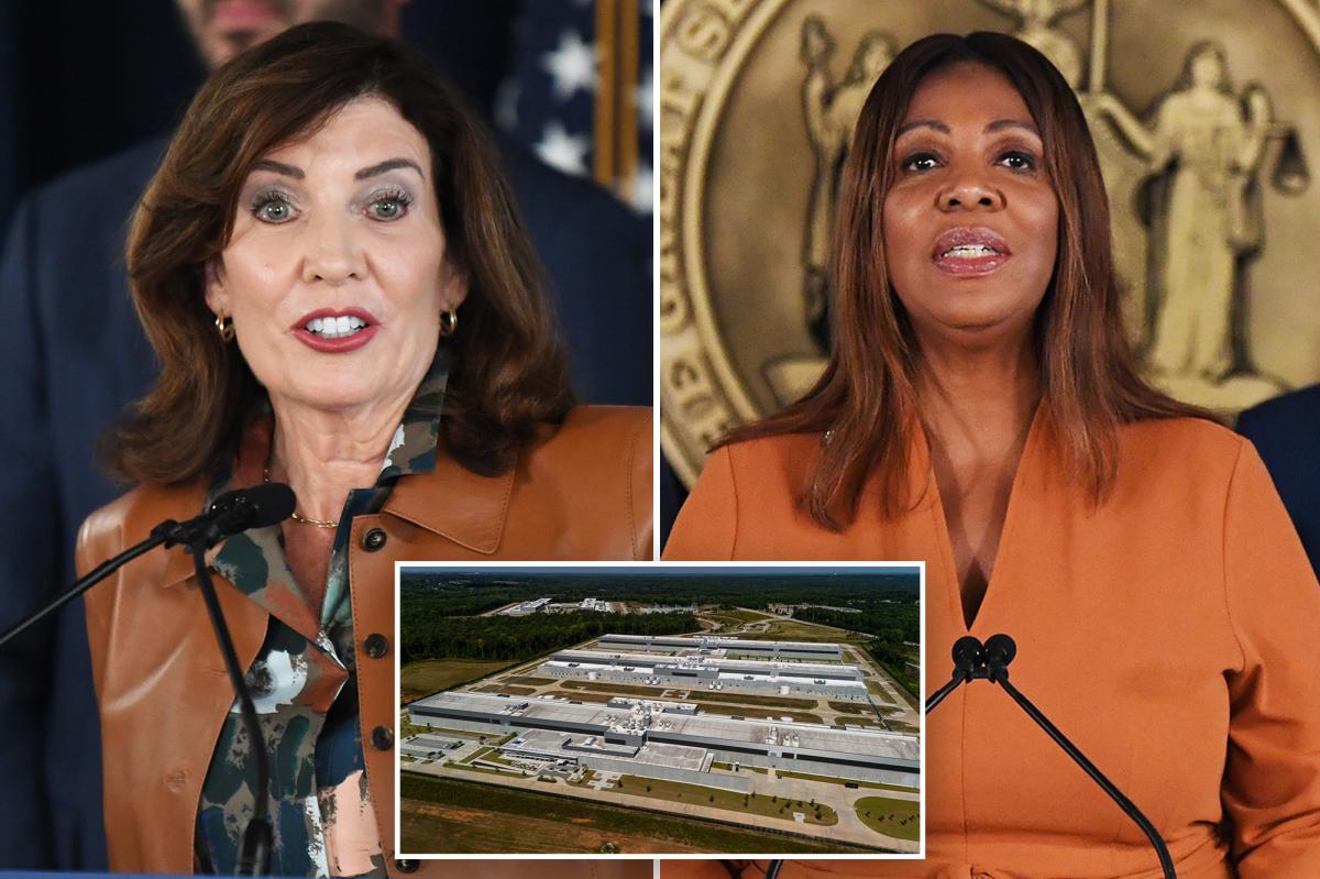 AI companies will have to register in NYS as Hochul won't rule out a 'kill switch' for the tech