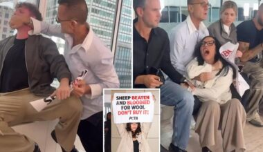 NYFW honcho tackles PETA protesters in wild caught-on-video scene in front of A-listers 