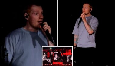 Ed Sheeran weeps on stage, says Israel's actions in Gaza 'unjustifiable'