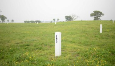 A million New Yorkers are buried on Hart Island. Now the city wants $130 million for its future – Bronx Times