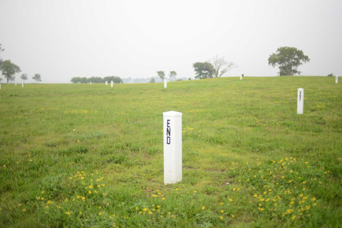 A million New Yorkers are buried on Hart Island. Now the city wants $130 million for its future – Bronx Times