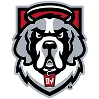 D'Youville University