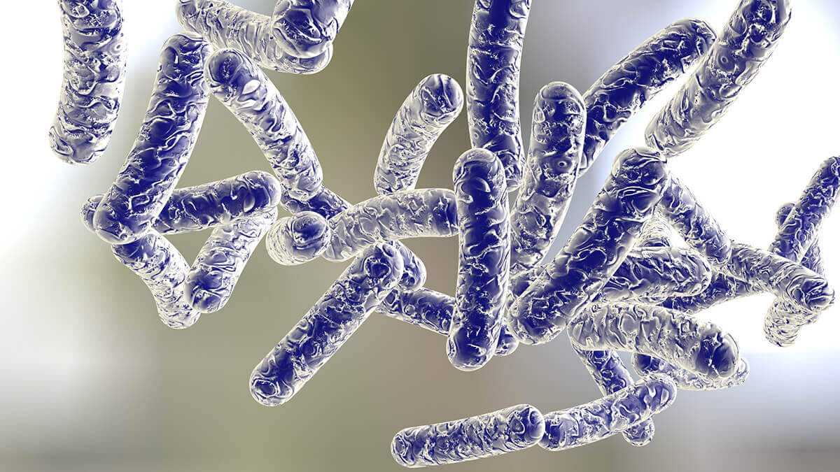 Legionnaires’ outbreak in the South Bronx: What residents should know about symptoms, exposure and treatment – Bronx Times