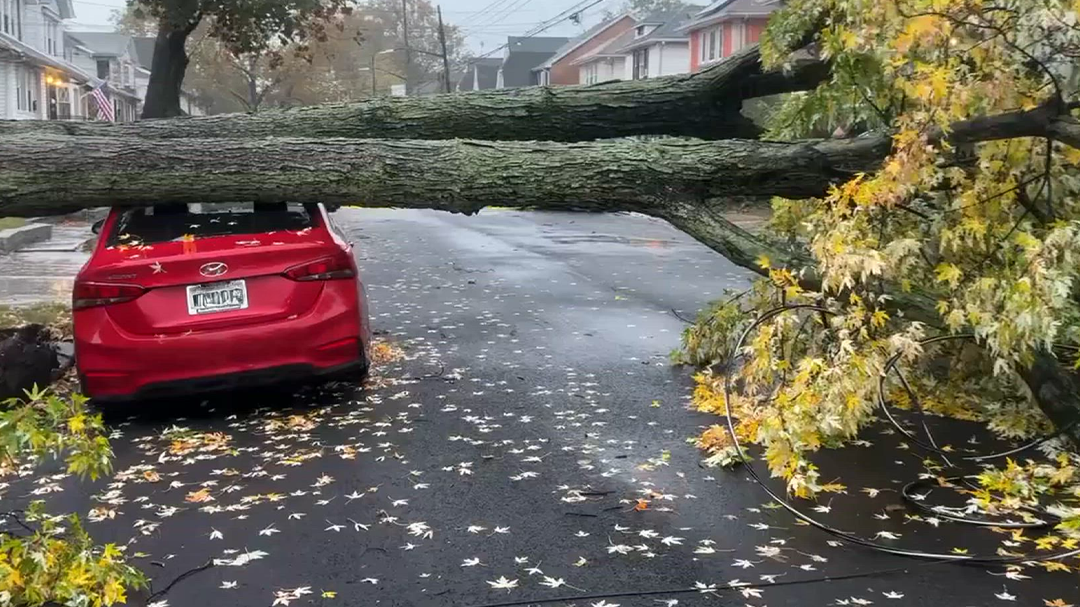 News 12 | Bronx | Nyc Parks Crews Prepare For Downed Trees As Noreaster Approaches