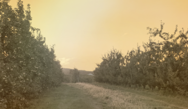 As Summers Get Hotter, New York Farmworkers Go Unprotected