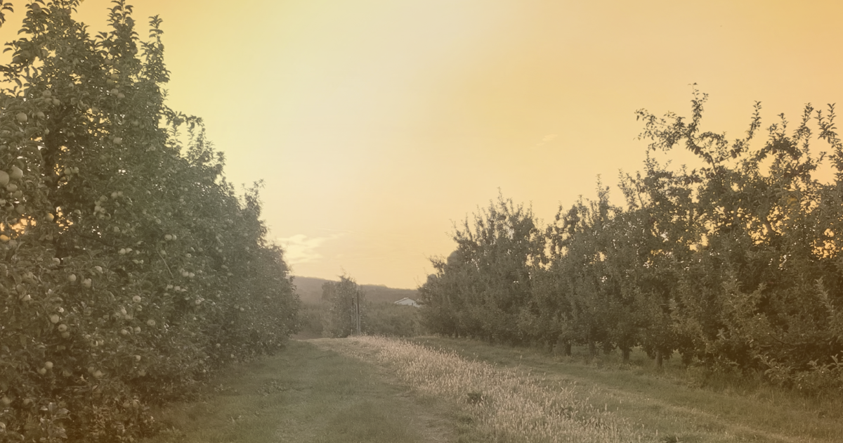 As Summers Get Hotter, New York Farmworkers Go Unprotected