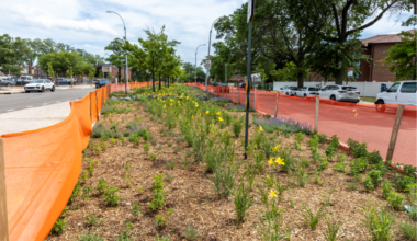 Queens to get new green medians to help combat severe flooding — Queens Daily Eagle