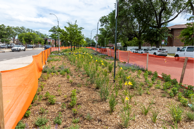 Queens to get new green medians to help combat severe flooding — Queens Daily Eagle