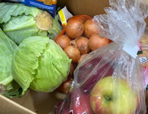 Elevating local foods in public procurement