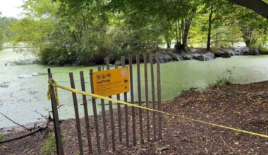 Police investigate attempted rape in Prospect Park