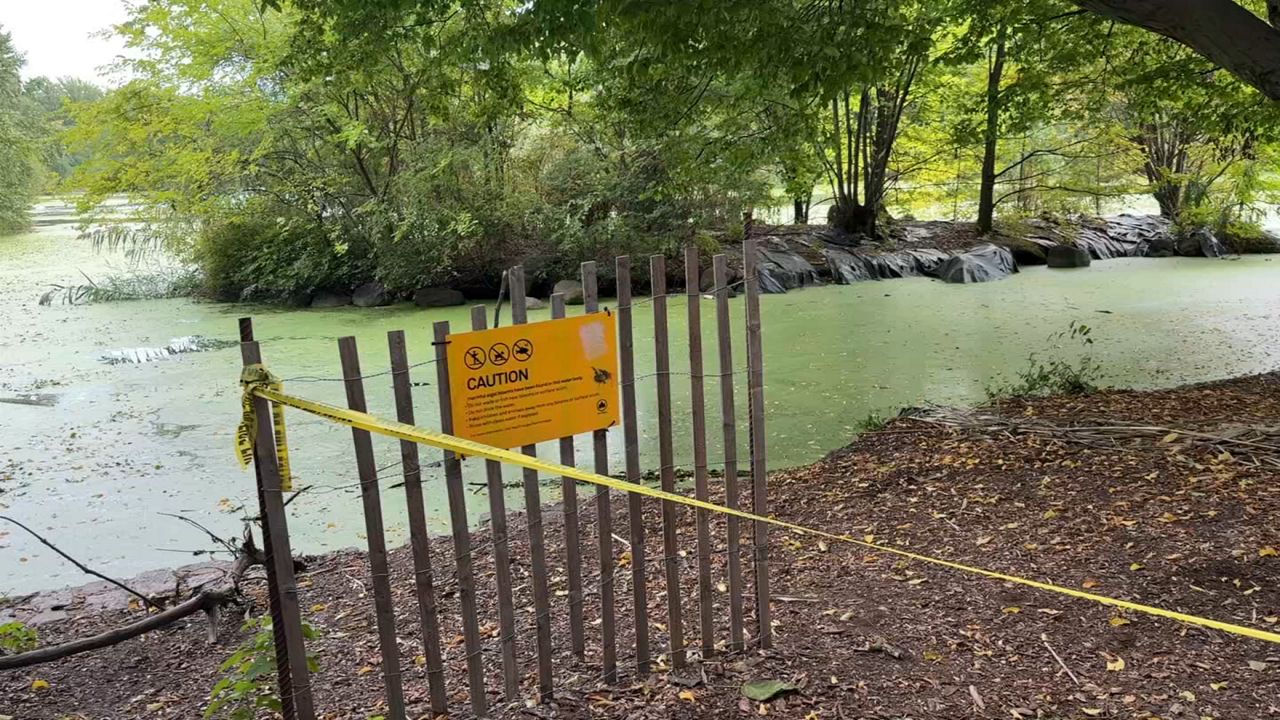 Police investigate attempted rape in Prospect Park