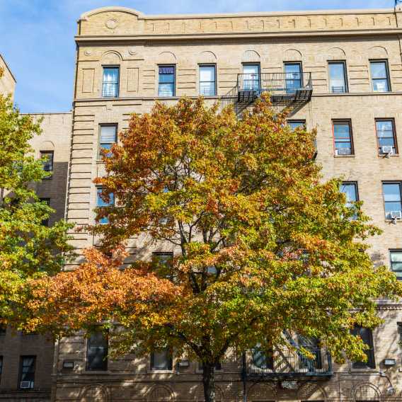 Why More NYC Families Are Choosing Washington Heights