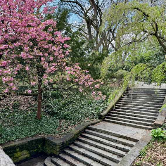 Why More NYC Families Are Choosing Washington Heights