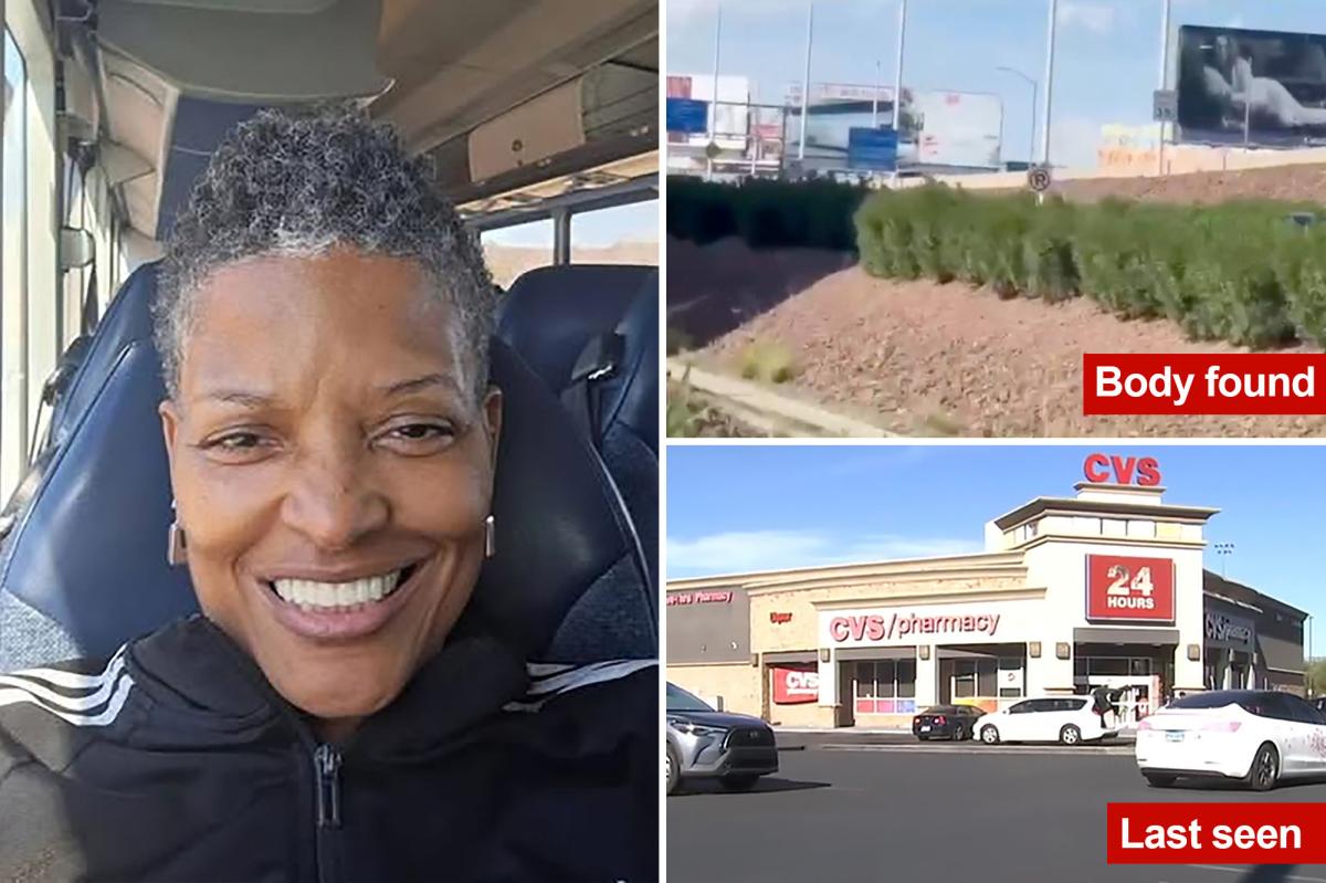 New timeline shows final moments of NYC grandma Alisa Goods