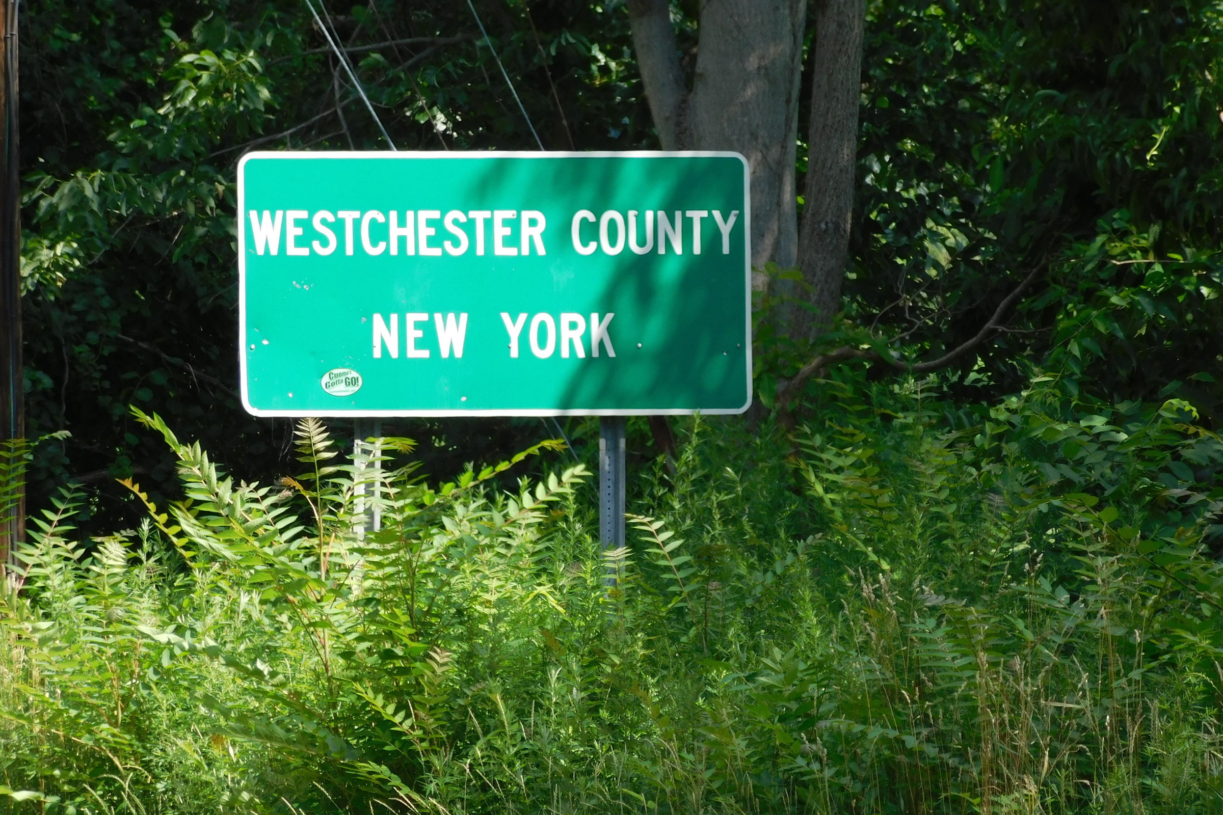 A highway sign marking the Westchester County line, surrounded by roadside greenery.