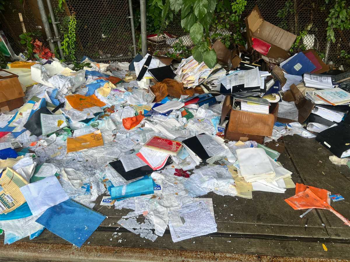 Half-mile Sedgwick Avenue stretch remains dumping hotspot despite cleanup efforts – Bronx Times