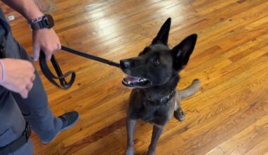 State Police K-9s become State Fair attraction