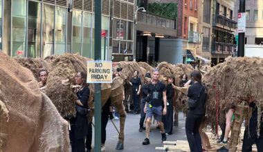 Financial District welcomed 40 life-size buffalo puppets for the US’s largest public art spectacle