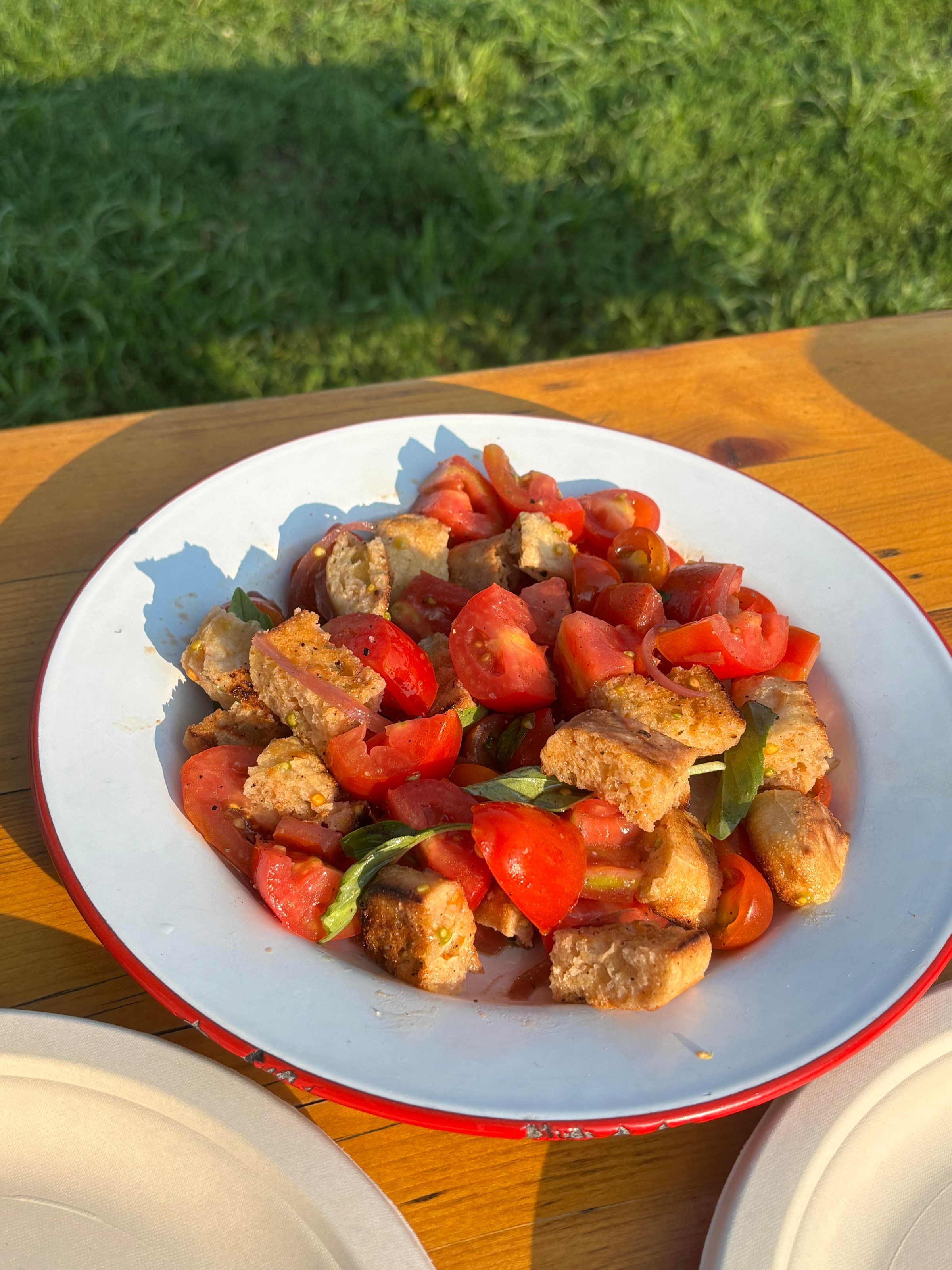 A plate of panzanella with bread, tomatoes, and basil