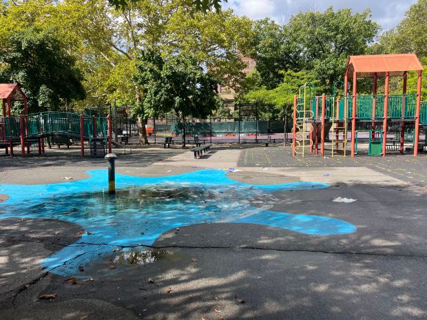 The pair were fatally shot inside the Howard Playground near the corner of Mother Gaston Blvd. and Glenmore Ave. in Brownsville late Friday.