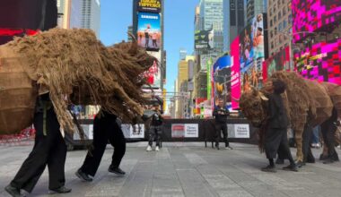 ‘Return of the Buffalo’ stampedes through New York City as life-size buffalo puppets honor Indigenous history