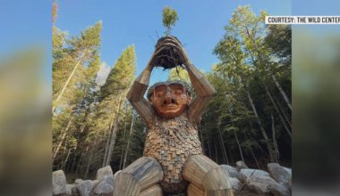 Wild Center unveils New York’s first permanent troll sculpture